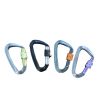 Aluminum Carabiner Clips 5 Pack  D Shape, Keychain Buckles D-Ring Locking Carabiner Light but Strong - color